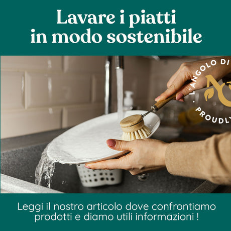 Lavare i piatti in modo sostenibile