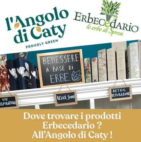 Erbecedario a Verona