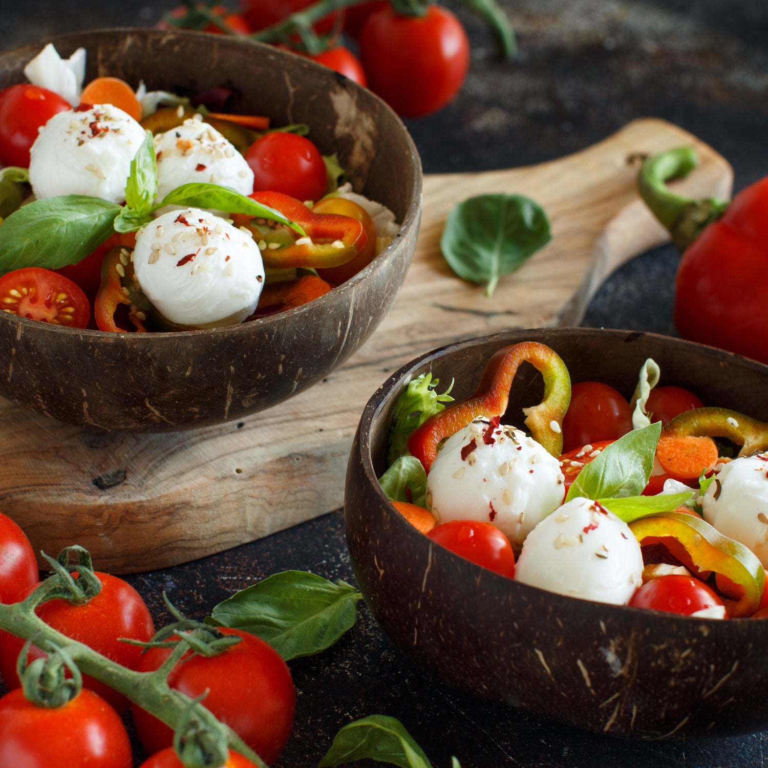 ciotola eco in cocco