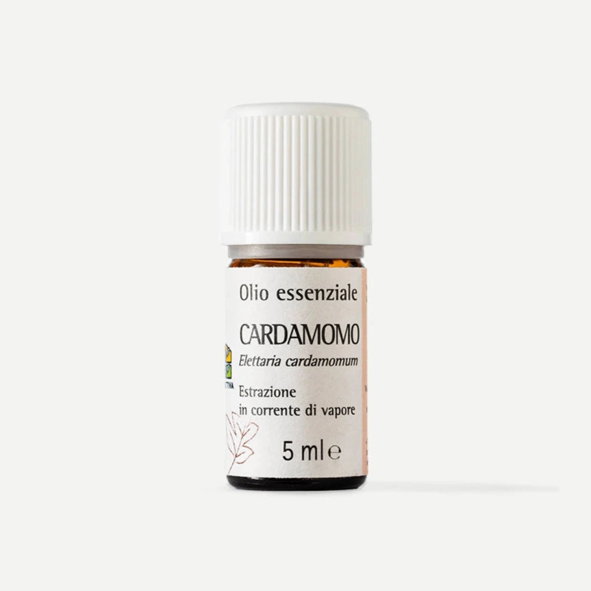Cardamomo olio essenziale OLFATTIVA