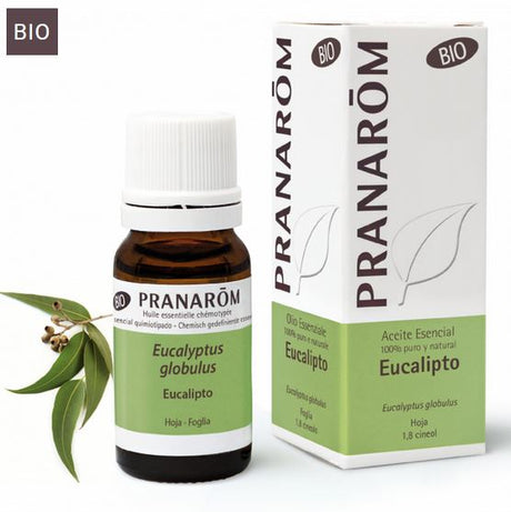 Eucalipto globulus CT olio essenziale PRANAROM