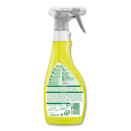 Citrus anticalcare spray FROSCH