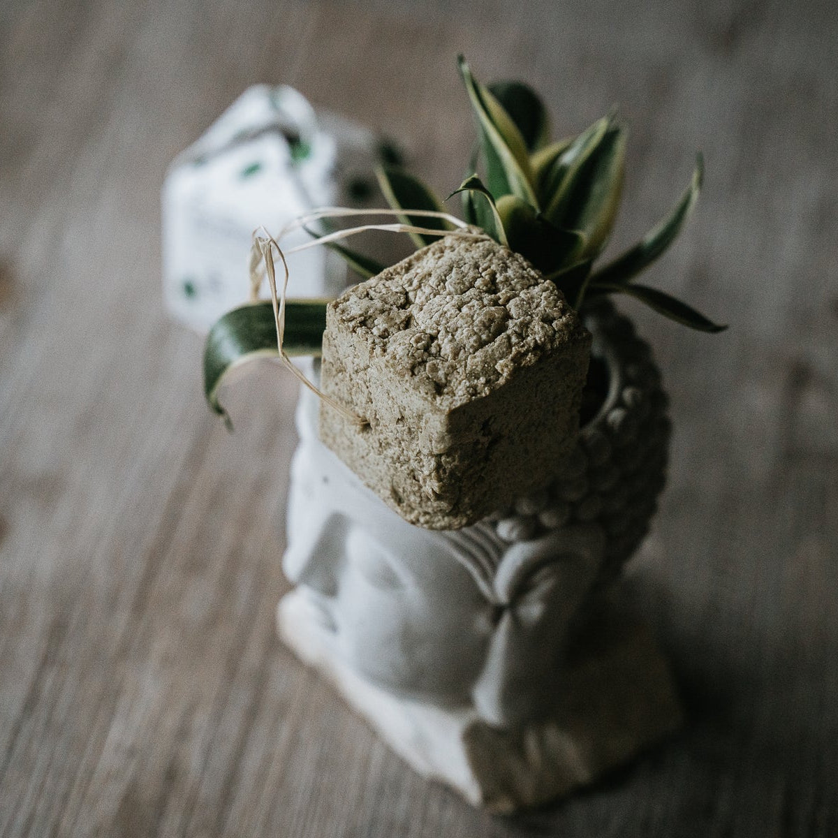 L'incomparabile shampoo balsamo solido ETHICAL GRACE