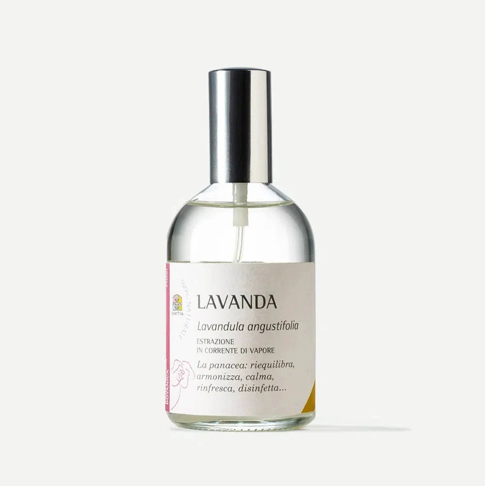 Lavanda profumo naturale OLFATTIVA
