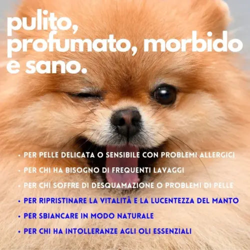 Number One shampoo balsamo per cani JAMPY