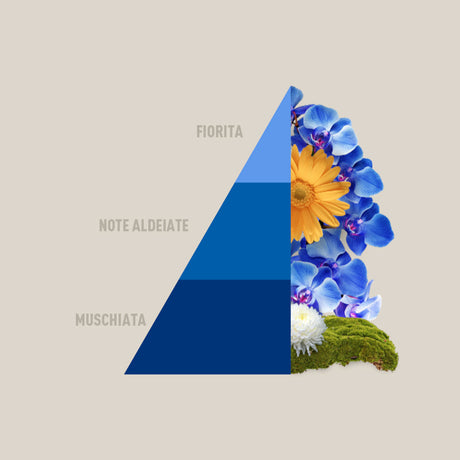 Profuma bucato Blue Loto Horomia 250