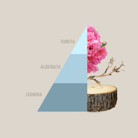 Profuma bucato Fresh Cotton Horomia 500