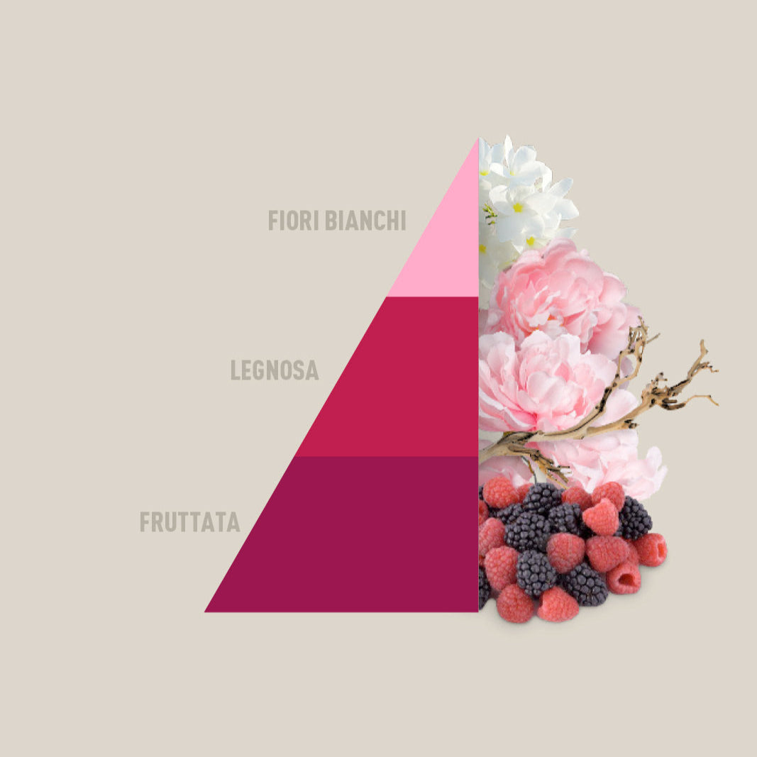 Profuma bucato Peonia Horomia 250