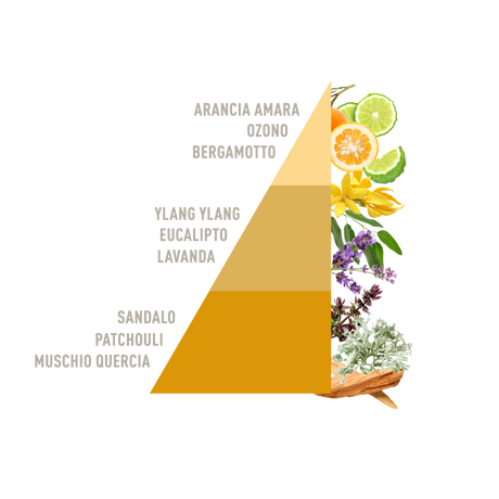 Profuma bucato Sandalo Horomia 100