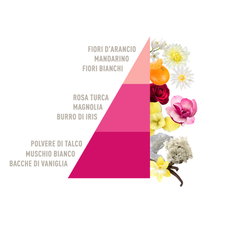 Profuma bucato Talco Magnolia Horomia 100