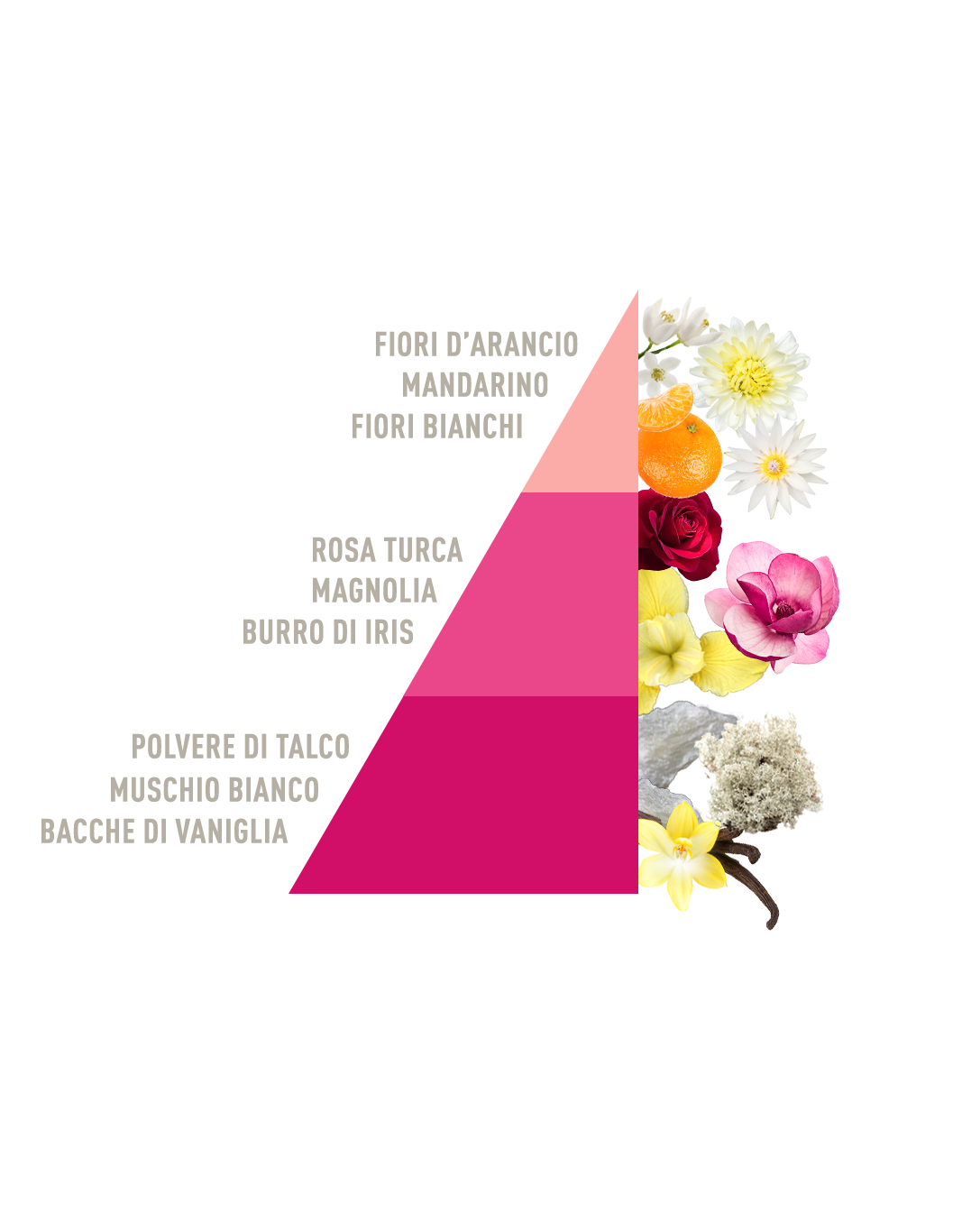 Profuma bucato Talco Magnolia Horomia 400