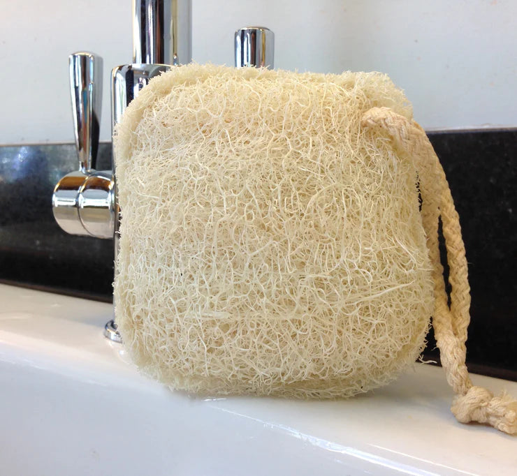 Spugna luffa per pulizie LoofCo