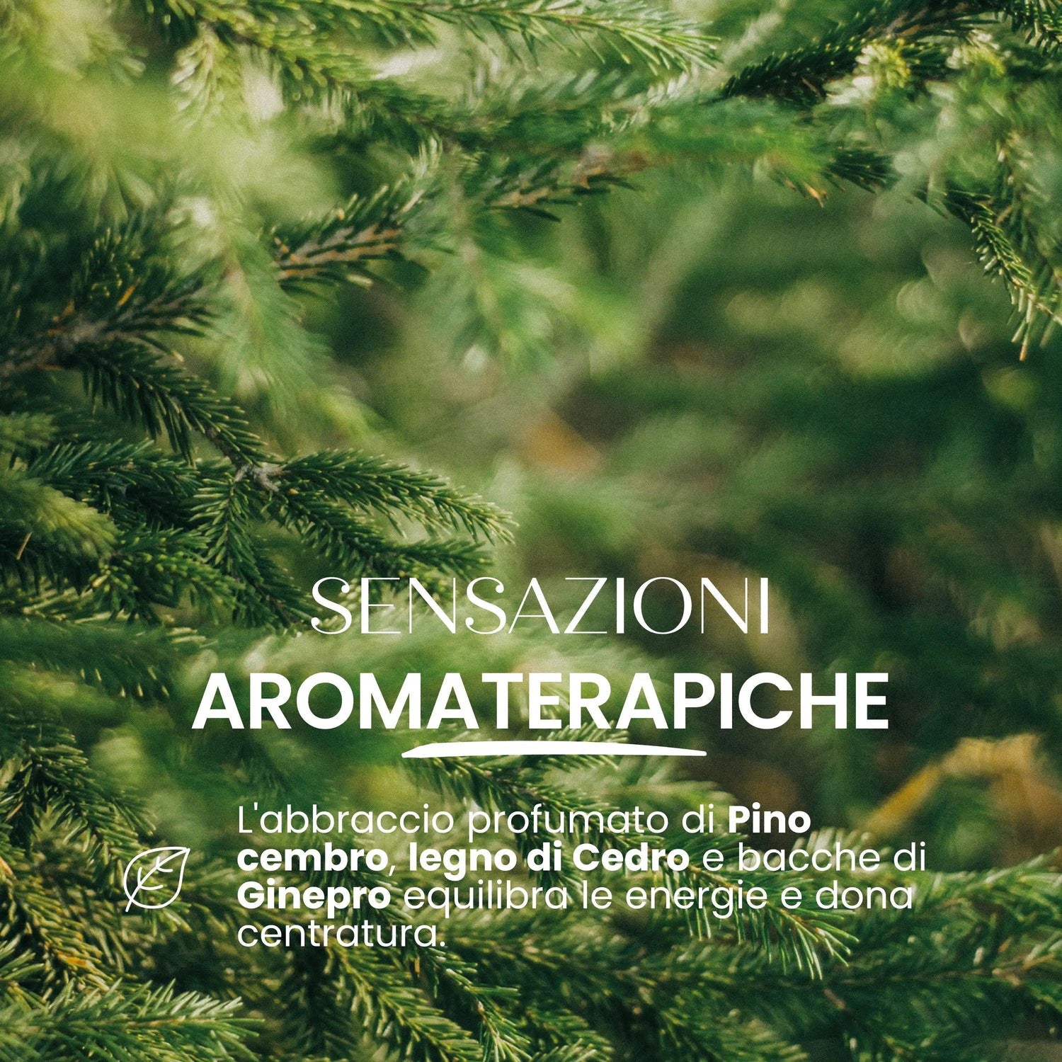 Candela naturale Equilibrio SENSO NATURALE