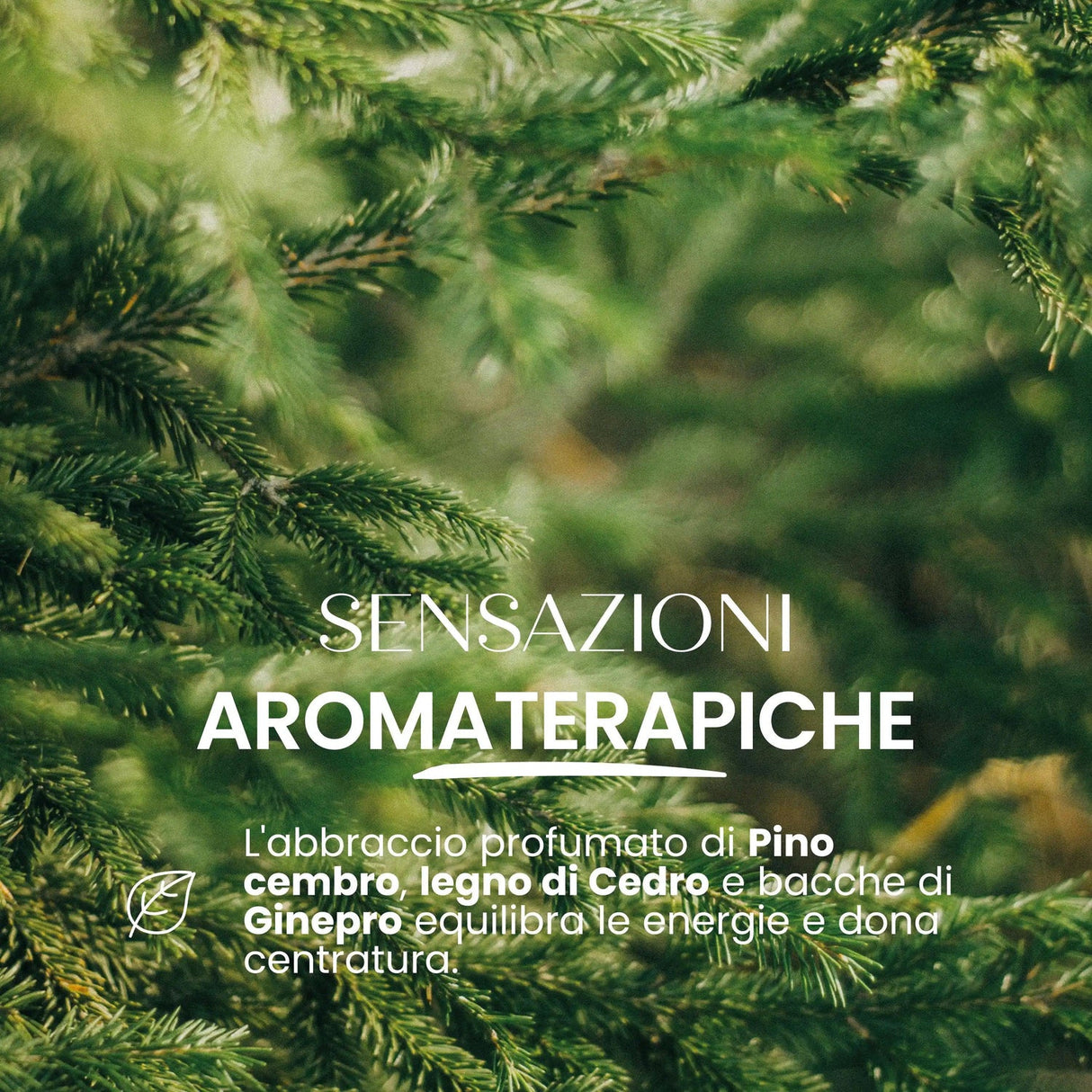 Candela naturale Equilibrio SENSO NATURALE