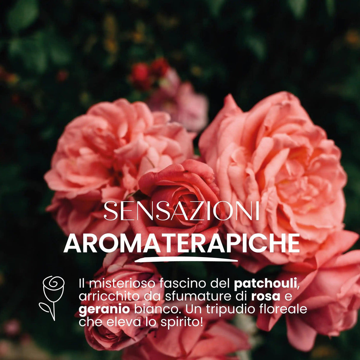 Candela naturale Armonia SENSO NATURALE