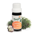 Pino Cembro Cirmolo Olio Essenziale BERGILA