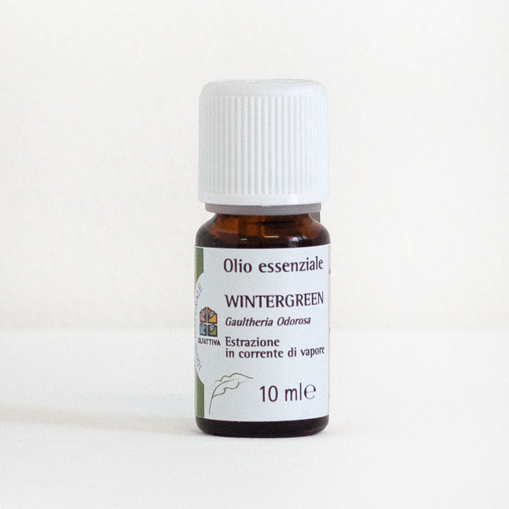 Wintergreen olio essenziale OLFATTIVA
