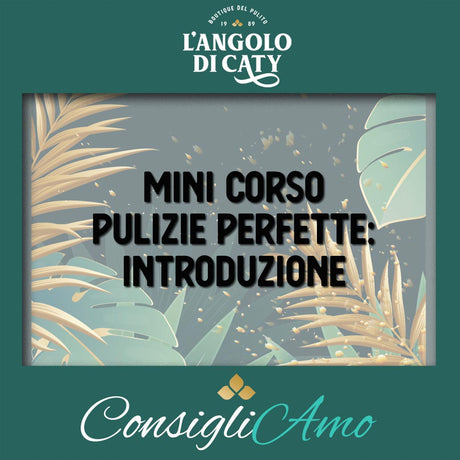 Corso pulizie perfette