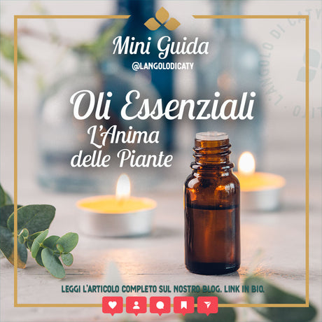 Cos'è l'Aromaterapia