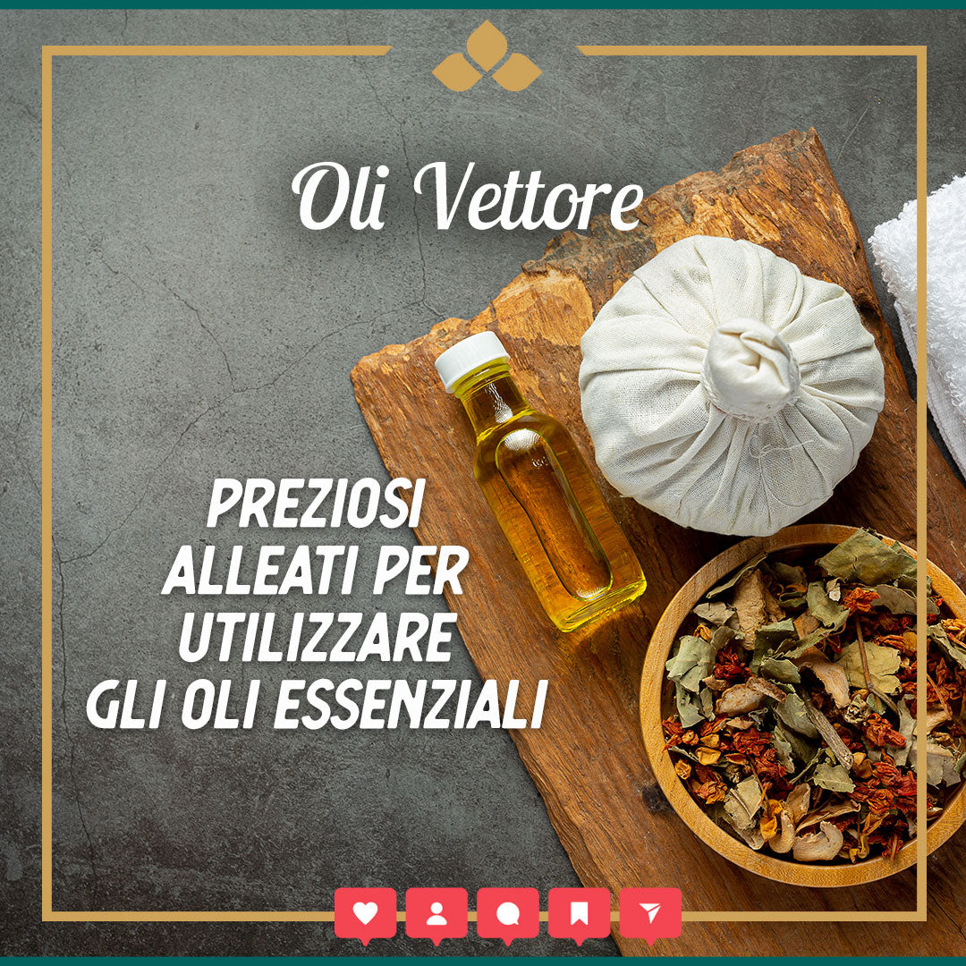 Oli vettore e Oli Essenziali – L'Angolo di Caty, image size:1080x1080