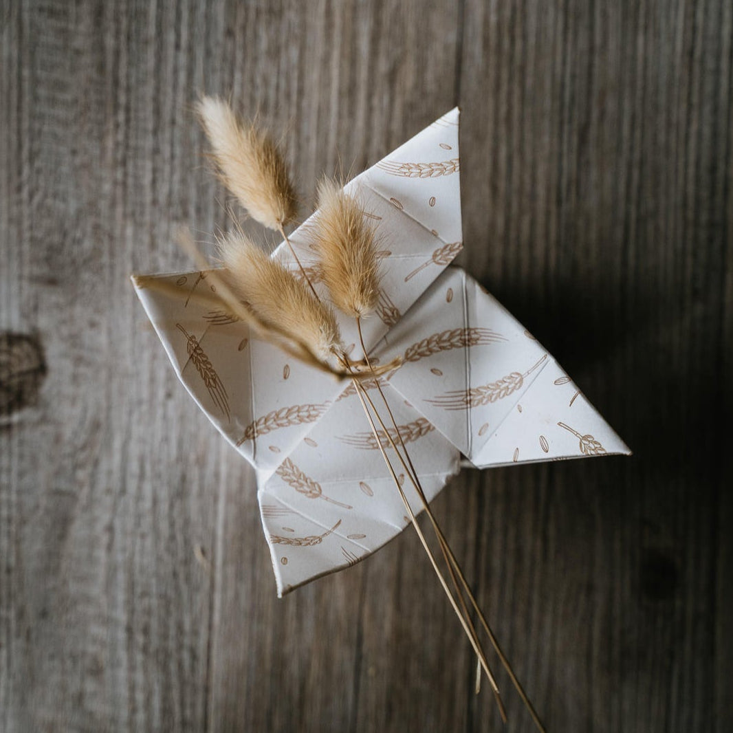 43 grani shampoo e balsamo solido ETHICAL GRACE