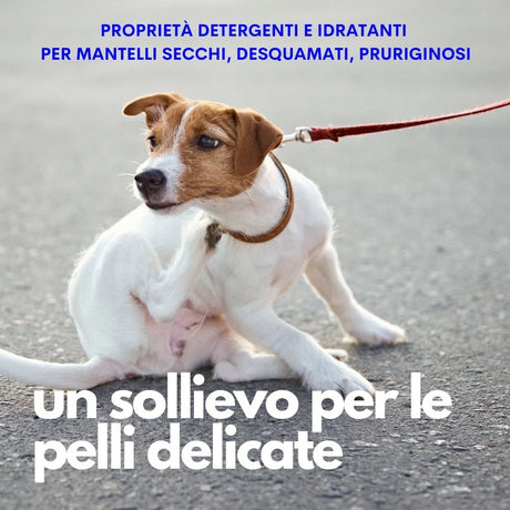 Spray districante idratante cani JAMPY