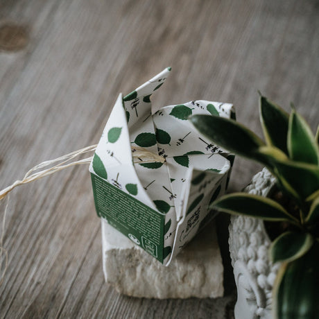 L'incomparabile shampoo balsamo solido ETHICAL GRACE