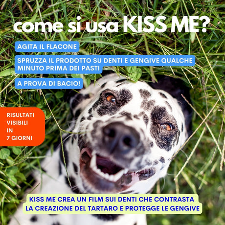Kiss Me Dentifricio spray cani JAMPY