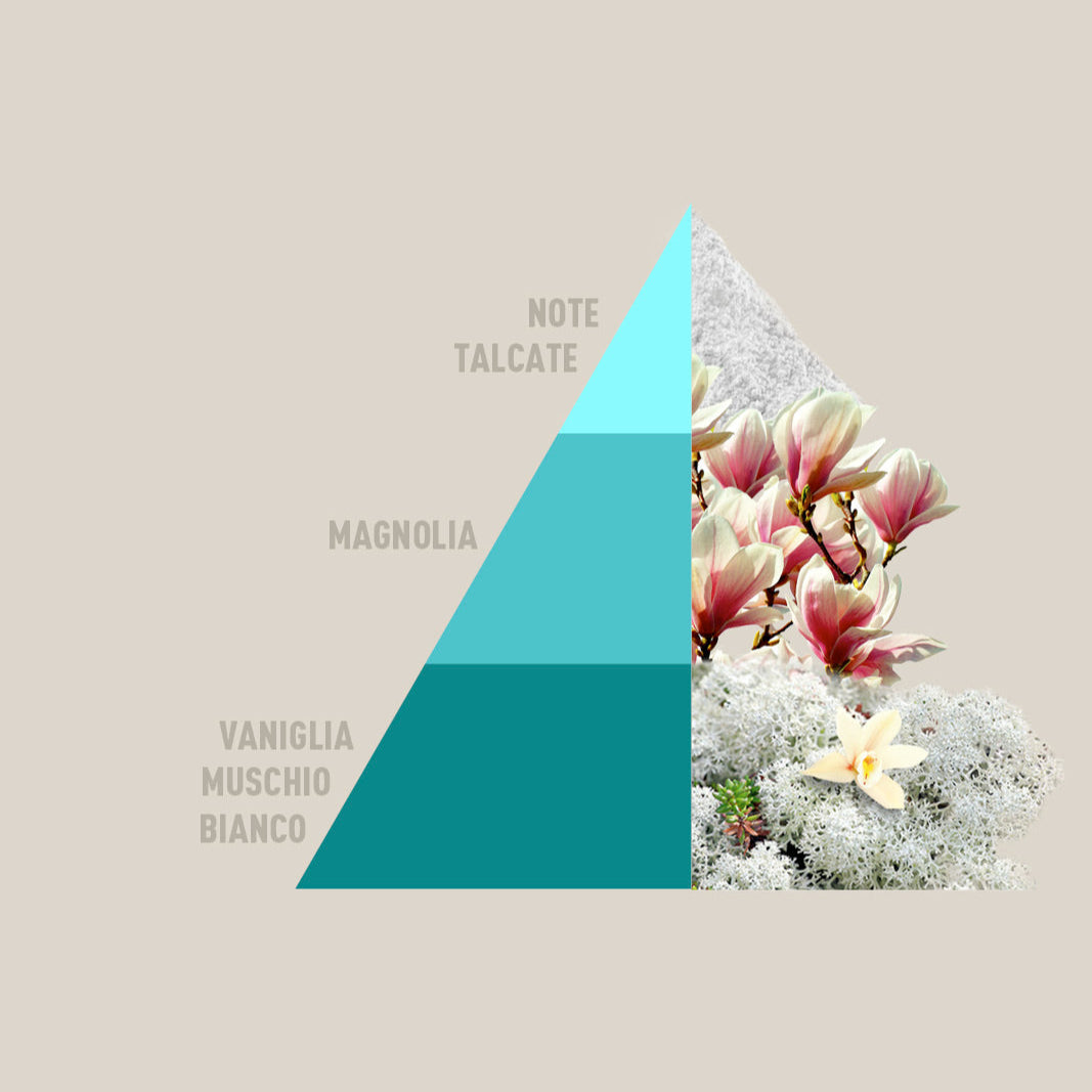 Profuma bucato Bianco infinito Horomia 250