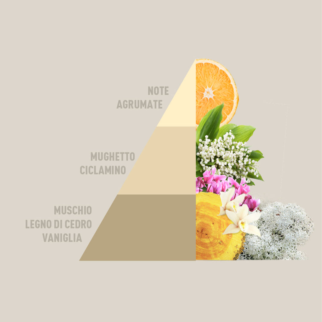 Profuma bucato Gold Argan Horomia 500