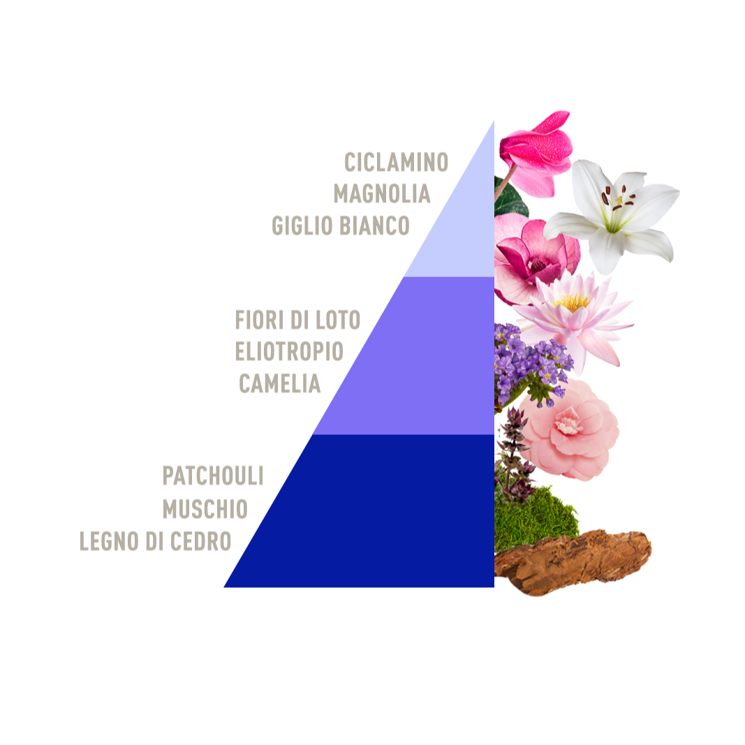 Profuma bucato Loto Horomia 100