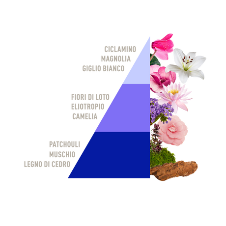Profuma bucato Loto Horomia 100