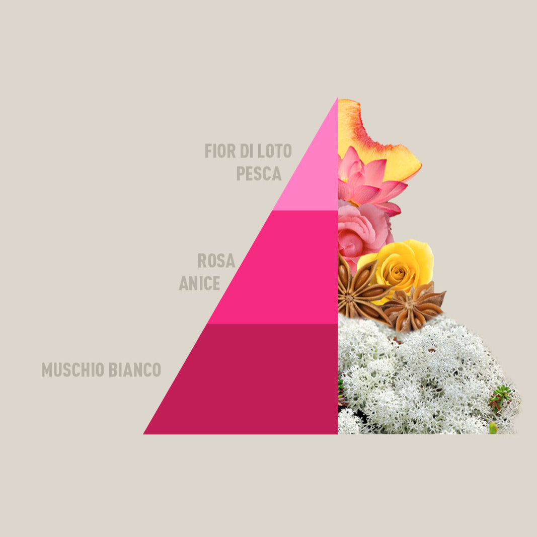 Profuma bucato Muschi Loto Horomia 500