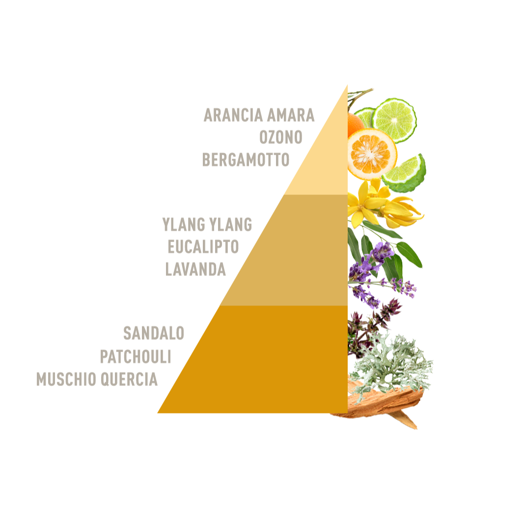 Profuma bucato Sandalo Horomia 100