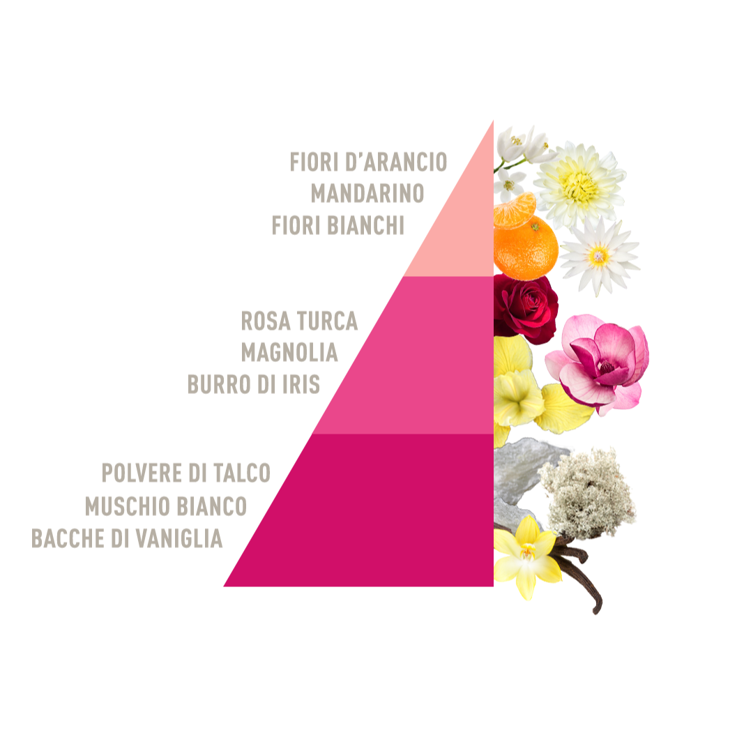 Profuma bucato Talco Magnolia Horomia 100