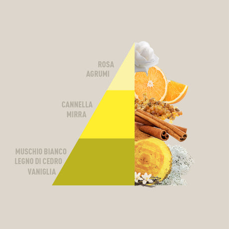 Profuma bucato Vaniglia Mirra Horomia 250