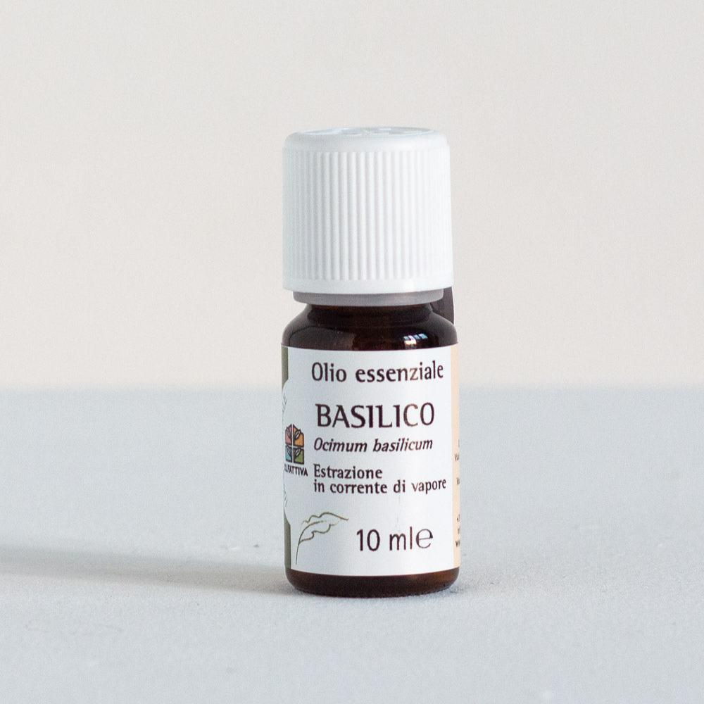 Basilico olio essenziale OLFATTIVA