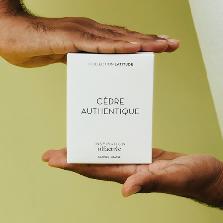 cèdre authentique inspiration olfactive