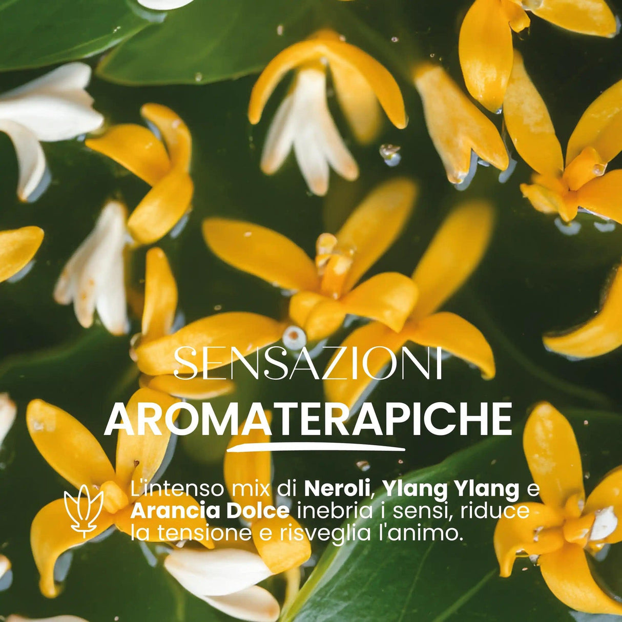 Candela naturale Nirvana SENSO NATURALE