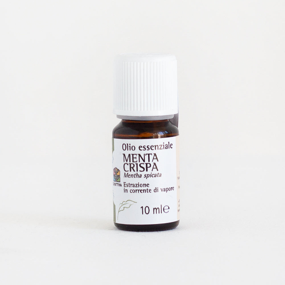 Menta crispa olio essenziale OLFATTIVA