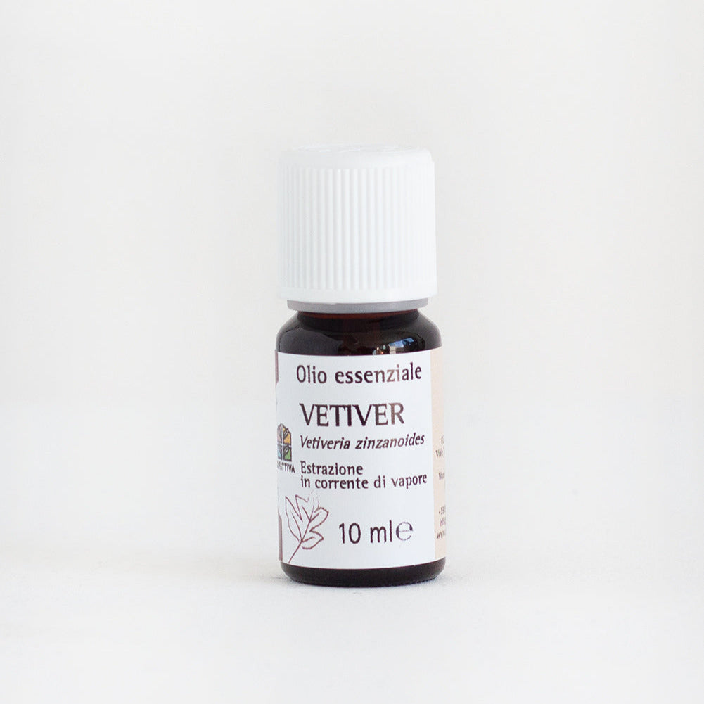Vetiver olio essenziale OLFATTIVA